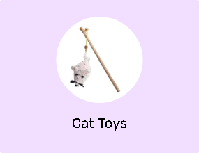 Cat Toys