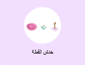 خدش القطة