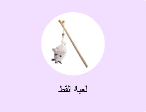 لعبة القط