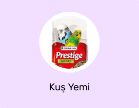 Kuş Yemi