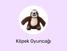 Köpek Oyuncağı
