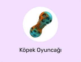 Köpek Oyuncağı