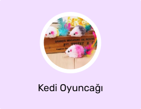 Kedi Oyuncağı