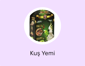 Kuş Yemi