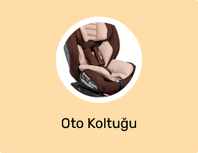 Oto Koltuğu