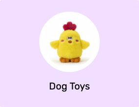 Dog Toys