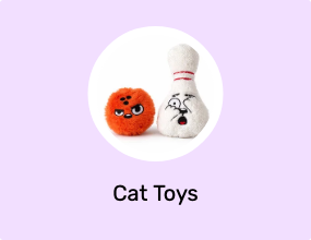 Cat Toys