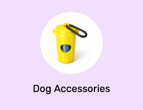 Dog Accessories