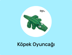 Köpek Oyuncağı