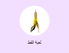 لعبة القط