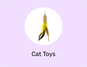 Cat Toys