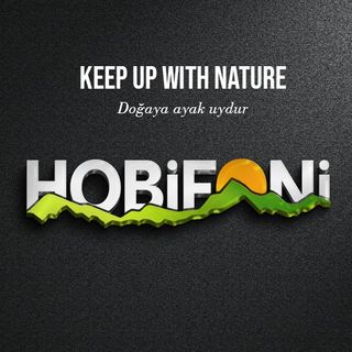 Hobifoni logo