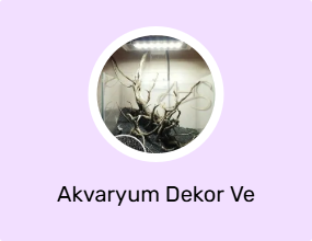 Akvaryum Dekor Ve Aksesuarı
