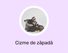 Cizme de zăpadă