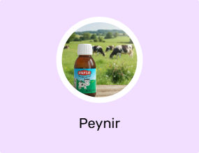 Peynir