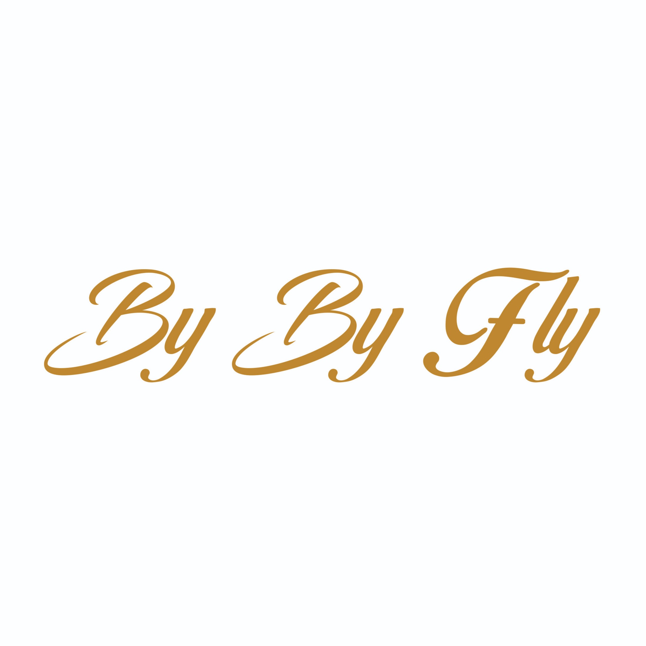 By By Fly