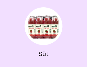 Süt