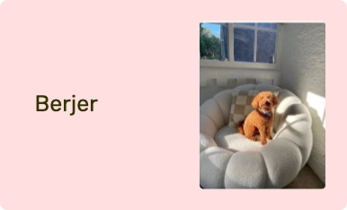 Berjer