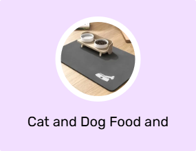 Cat and Dog Food and Water Containers
