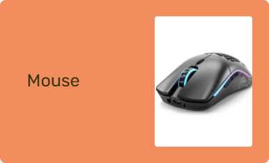 Mouse