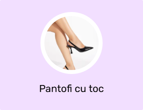 Pantofi cu toc