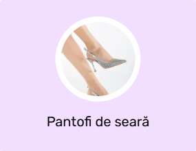 Pantofi de seară