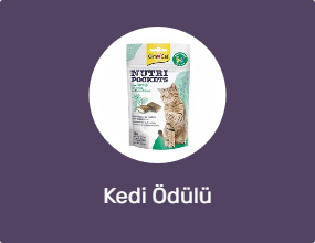 Kedi Ödülü
