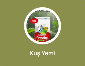 Kuş Yemi