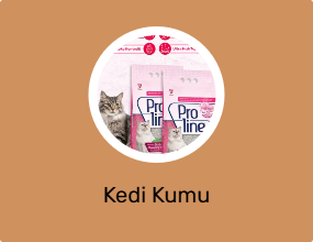 Kedi Kumu
