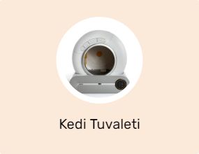 Kedi Tuvaleti