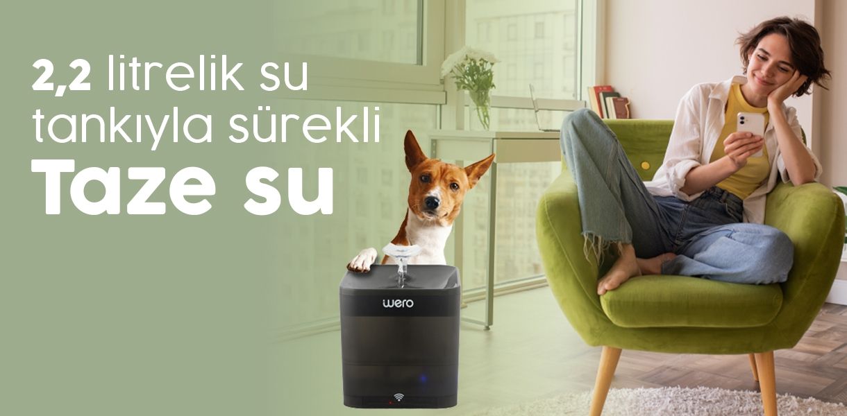 Banner Başlığı