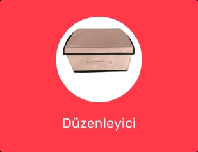 Düzenleyici