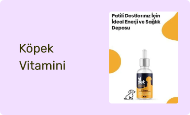 Köpek Vitamini