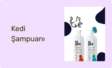 Kedi Şampuanı