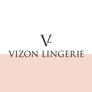 vizon lingerie logo