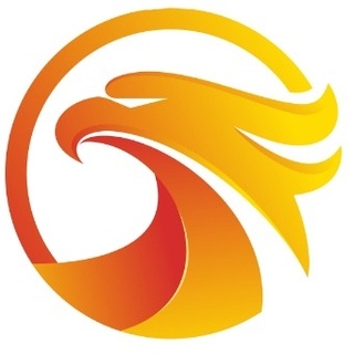 Perfect Mega Store logo