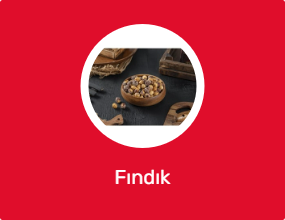 Fındık