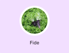 Fide
