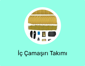 İç Çamaşırı Takımı