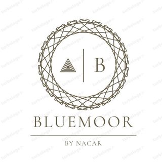 bluemoor logo