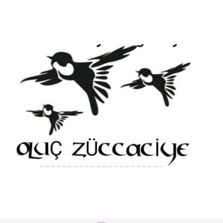 DİCLE HOME
