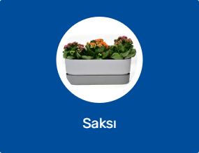 Saksı