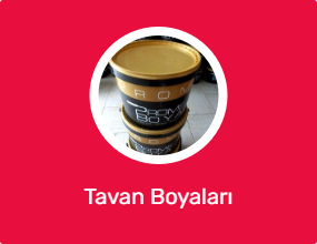 Tavan Boyaları