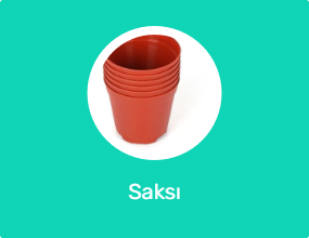 Saksı