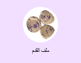 ملف القدم