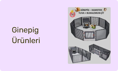Ginepig Ürünleri