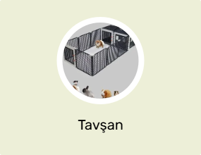Tavşan