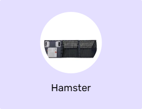 Hamster