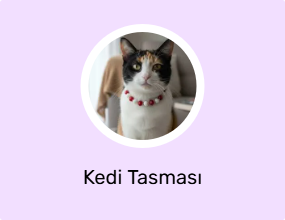 Kedi Tasması