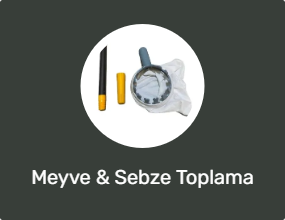 Meyve & Sebze Toplama Makinesi